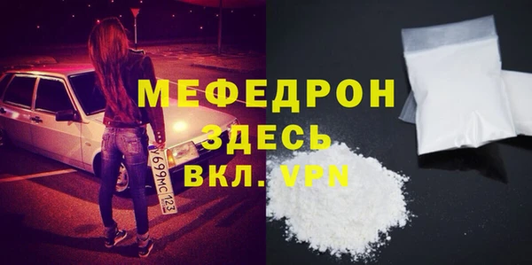 индика Няндома