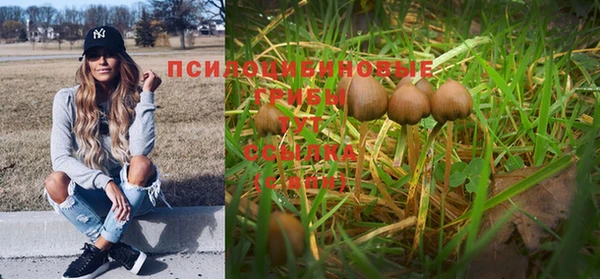 a pvp Нязепетровск
