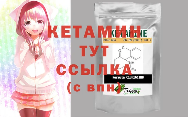 индика Няндома