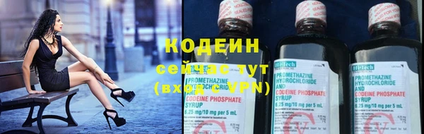 индика Няндома