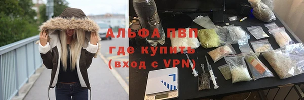 индика Няндома