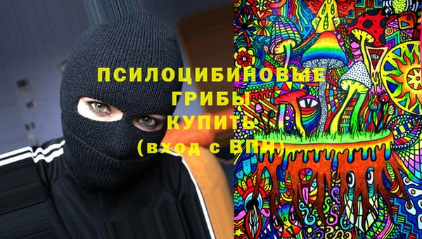 индика Няндома