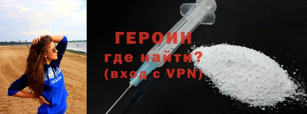 индика Няндома