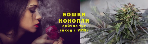 индика Няндома