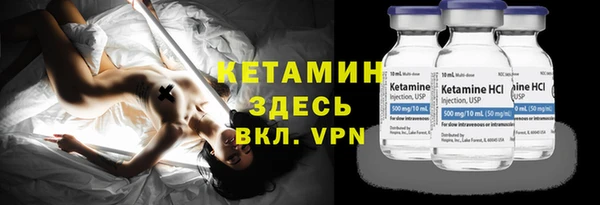индика Няндома