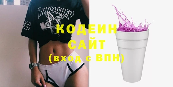 индика Няндома
