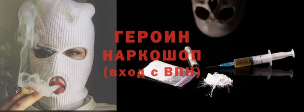 индика Няндома