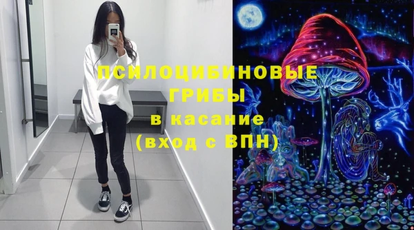 индика Няндома