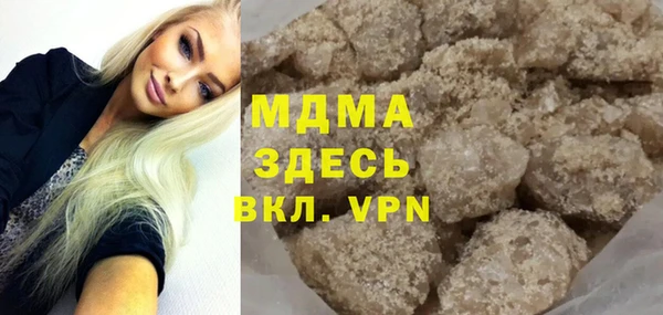 индика Няндома