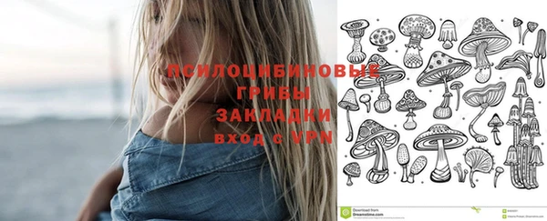 индика Няндома