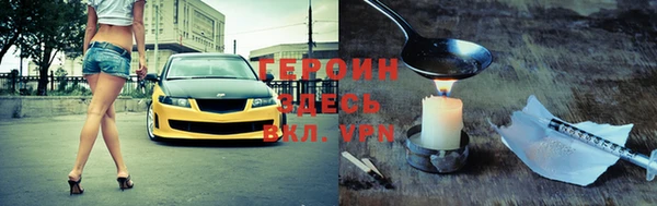 индика Няндома