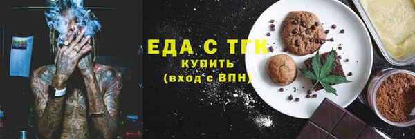 индика Няндома
