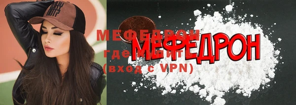 индика Няндома