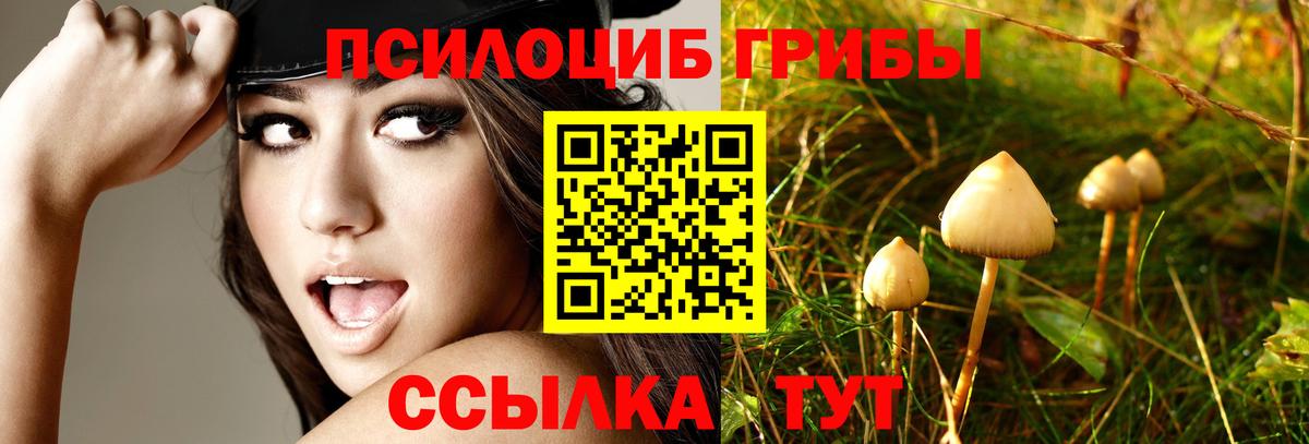 Галлюциногенные грибы GOLDEN TEACHER Воронеж